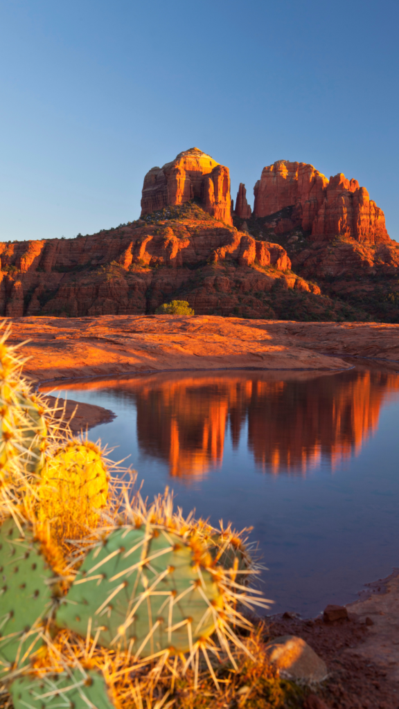Arizona’s desert