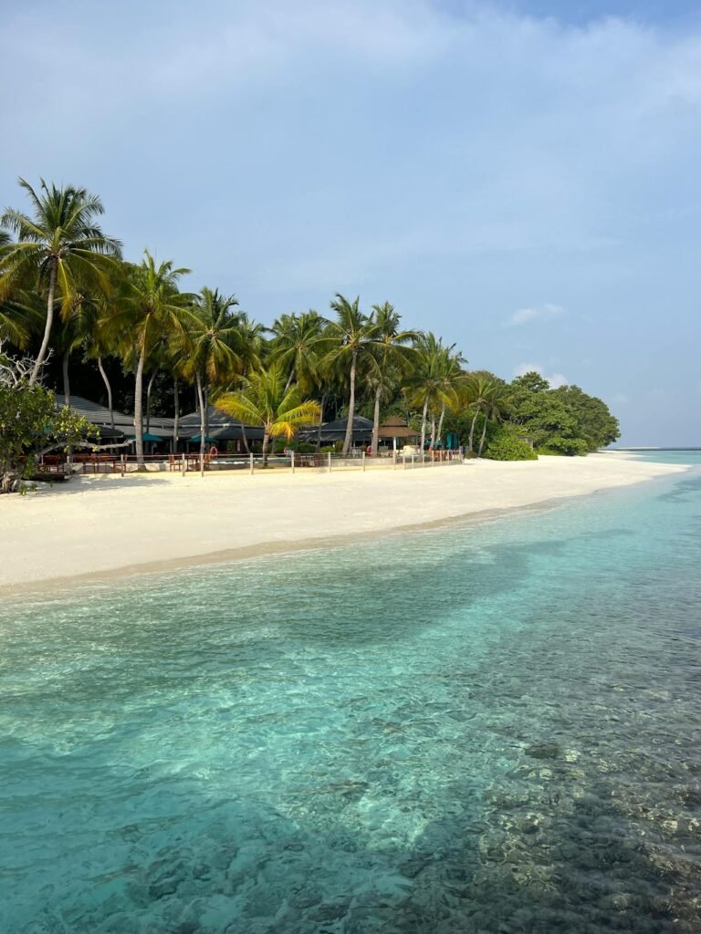 Maldives Solo Traveller