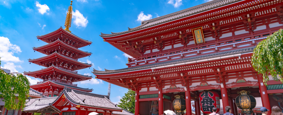 Shinjuku Nights: Where Solo Travelers Unite for a Spirited Meetup