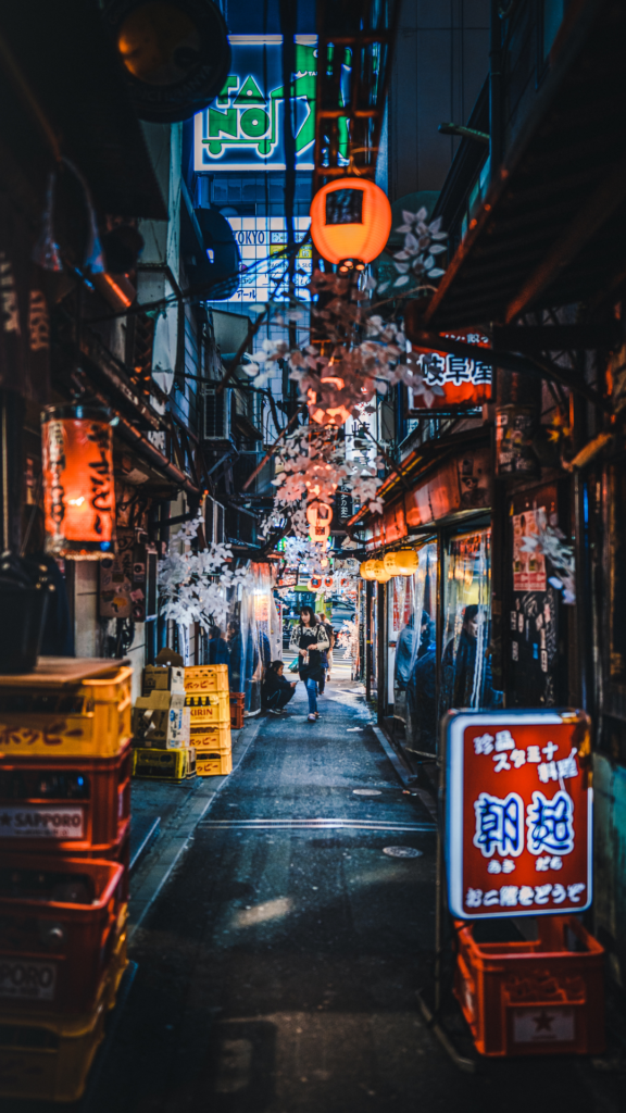 Tokyo Solo Traveller Night