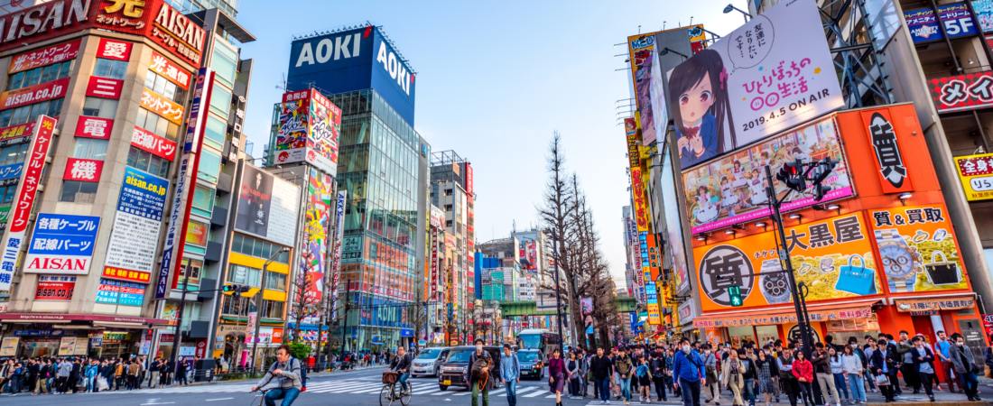 Discover Tokyo Like a Local: A Private Full Day Tour Adventure