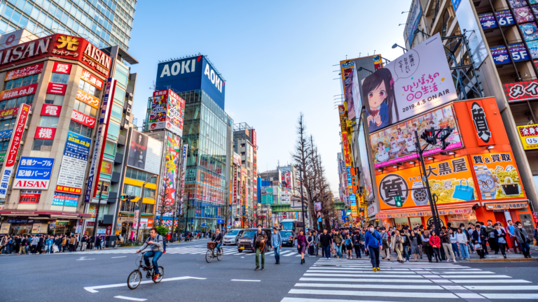 Tokyo Tour Adventure