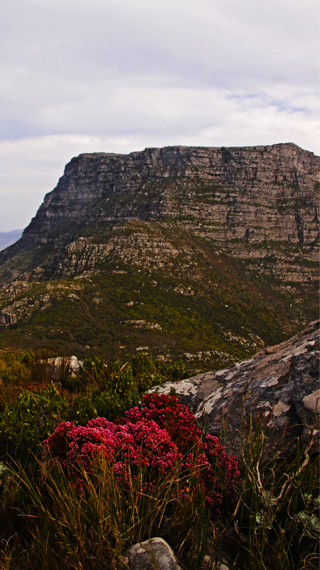 Table Mountain South Africa