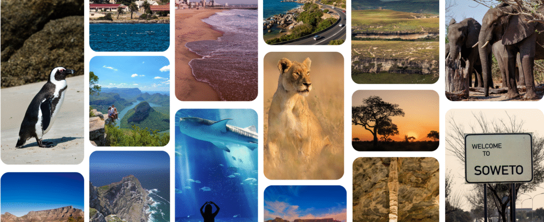 The Ultimate South Africa Bucket List: 15 Must-Visit Destinations